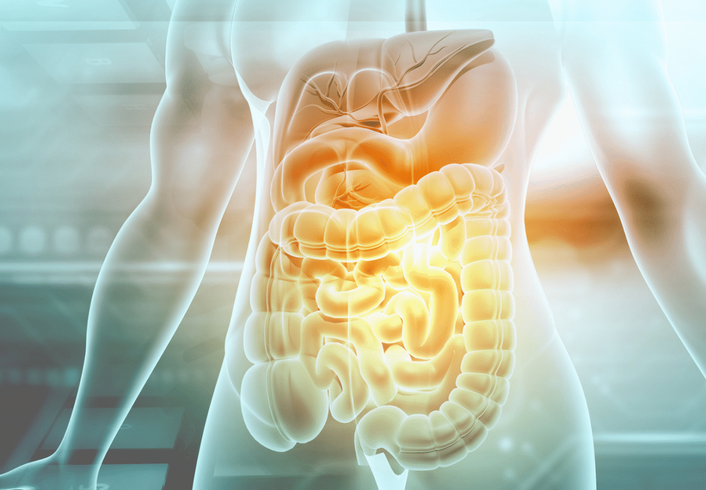 Nutrinova's Solutions for Digestive Wellness