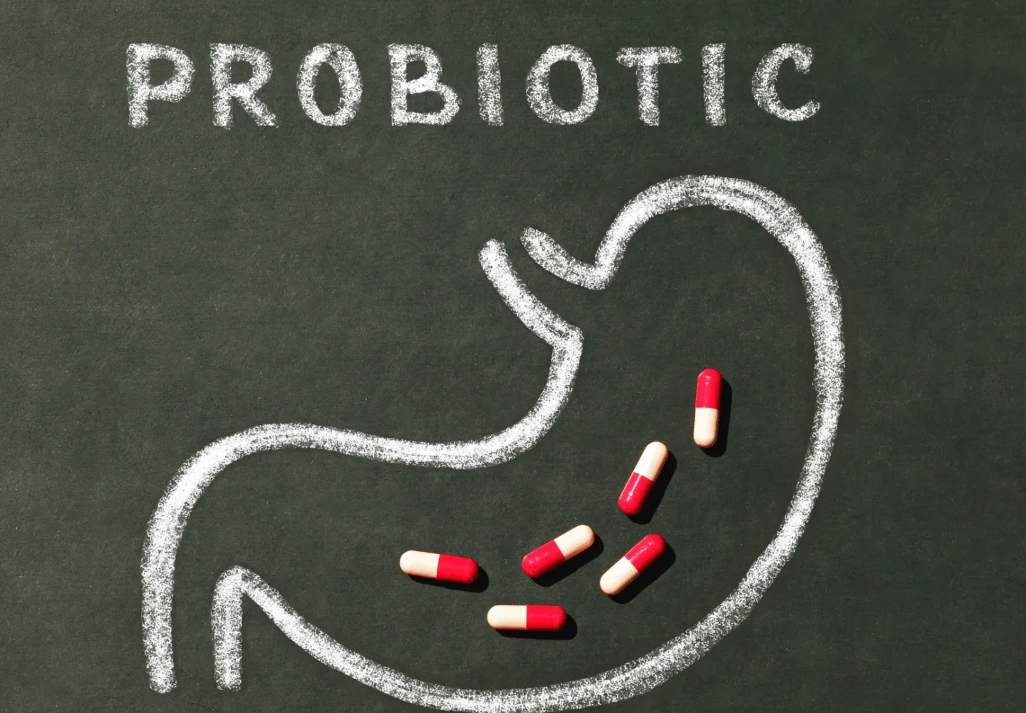 The Benefits of Probiotics for Your Stomach