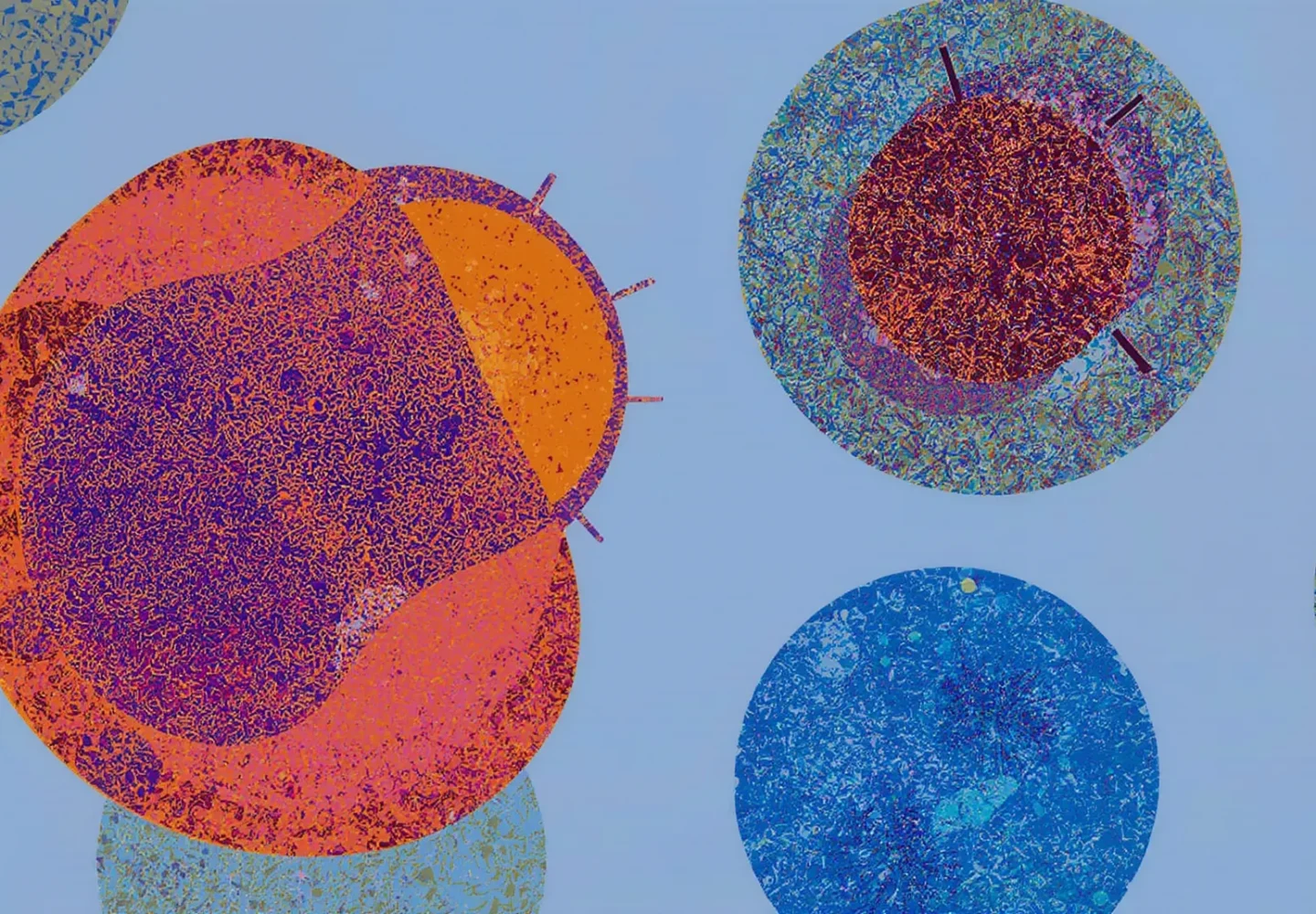 stem-cell-regeneration-1